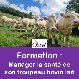 Image pour formation manager
