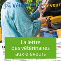 lettre-v-e2