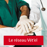 reseau-vetel2