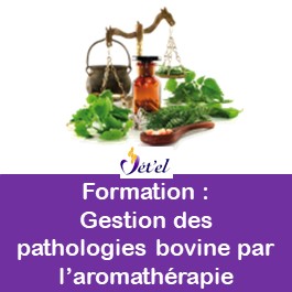 Image pour formation gestion des pathologies par aroma