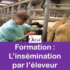 Image pour formation ipe